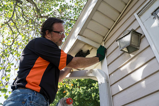 Best Insulated Siding Installation  in Hancock, MD